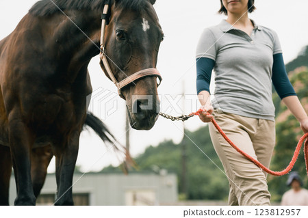 horse, female, lady 123812957