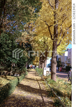 Golden Autumn View With Trees and Cityscape, Komagome Dec 6 2024 123813414