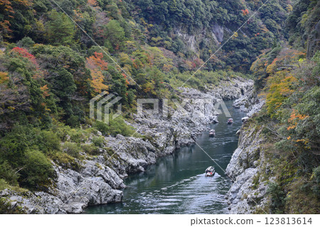 大步危峽谷的紅葉和遊船穿梭其間 123813614