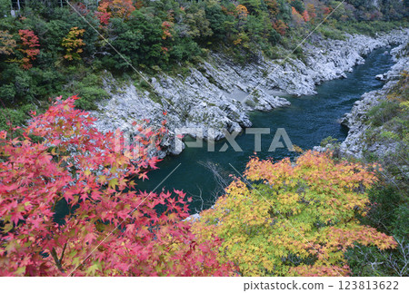 大步危峽谷的秋色 123813622