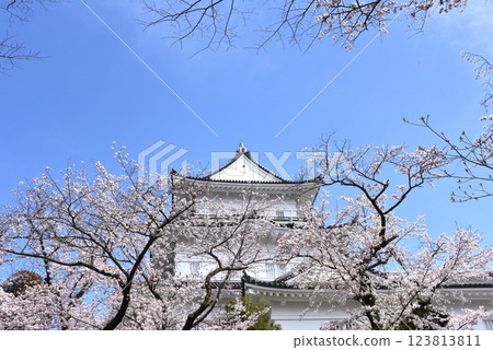 Sakura Castle 123813811