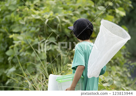 孩子們帶著蟲籠和蟲網出去暑假 孩子們帶著蟲籠和蟲網出去暑假 123813944