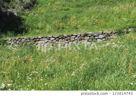 Stone walls of the earthen bridge at the Ohorikiri moat of Minowa Castle [Takasaki City, Gunma Prefecture] 123814743