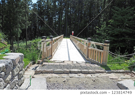 Reconstructed wooden bridge at the south gate of Minowa Castle [Takasaki City, Gunma Prefecture] 123814749