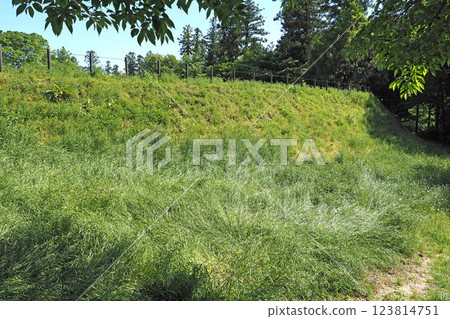 三之輪城：主城牆與御前櫛城之間的護城河 [群馬縣高崎市] 123814751