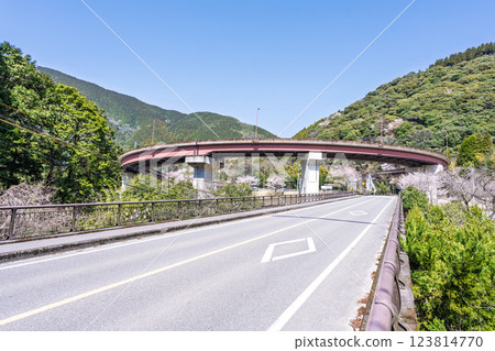 奧隈循環橋「櫻花季的市房水壩之路」（熊本縣球磨郡水上村湯山） 123814770