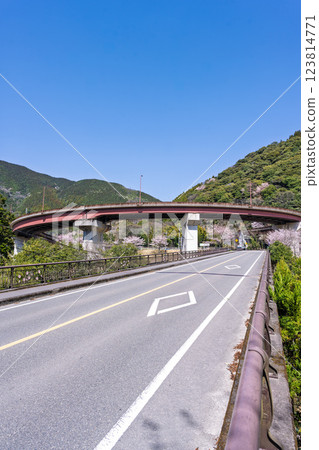 奧隈循環橋「櫻花季的市房水壩之路」（熊本縣球磨郡水上村湯山） 123814771