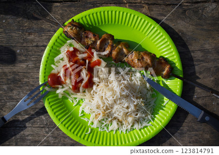 A vibrant green plate presents a satisfying meal of shashlik, rice, and salad outdoors. 123814791