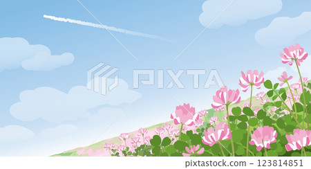 背景插圖：藍天下，一望無際的蓮花田 123814851