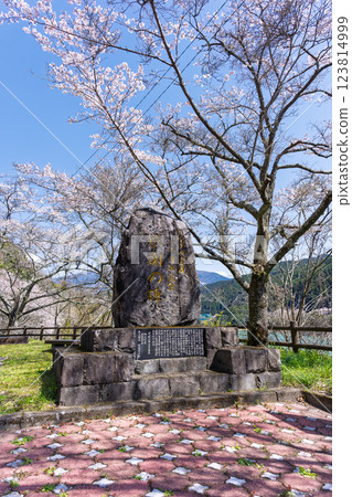 春日陽光下閃閃發光的石碑（櫻花季、市房水壩湖）（熊本縣球磨郡水上村湯山） 123814999