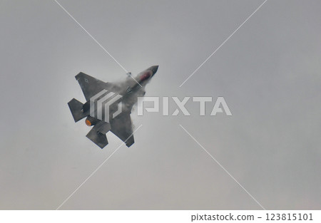 The US Air Force F-35 Demo Team performing at Royal Thai Air Force The US Air Force F-35 Demo Team performing at Royal Thai Air Force 123815101