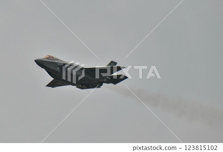The US Air Force F-35 Demo Team performing at Royal Thai Air Force 123815102