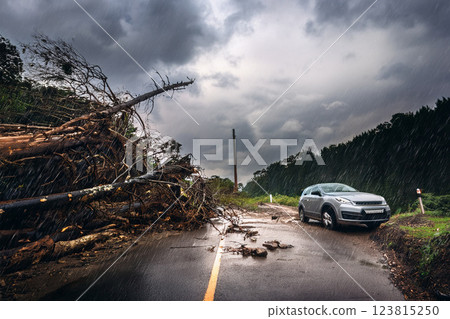 Landslide due to heavy rain 123815250