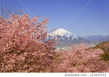 大井夢之裡 123815552