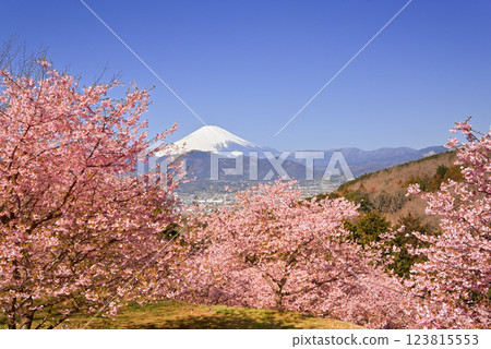 大井夢之裡 大井夢之裡 123815553