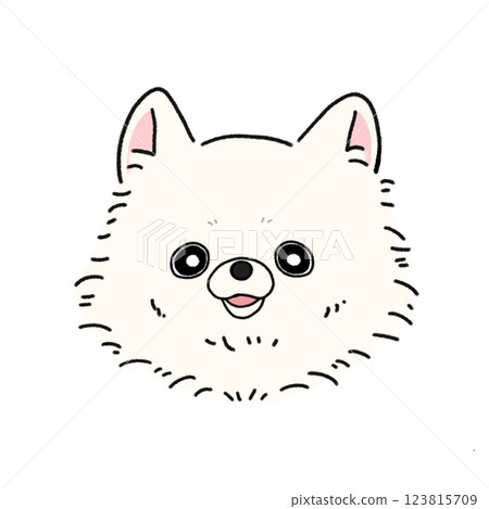 博美犬的臉（白色） 123815709