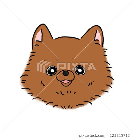 Pomeranian Face (Brown) 123815712