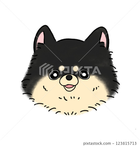 Pomeranian face (black and tan) 123815713