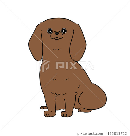 Miniature Dachshund Smooth (Brown) Miniature Dachshund Smooth (Brown) 123815722