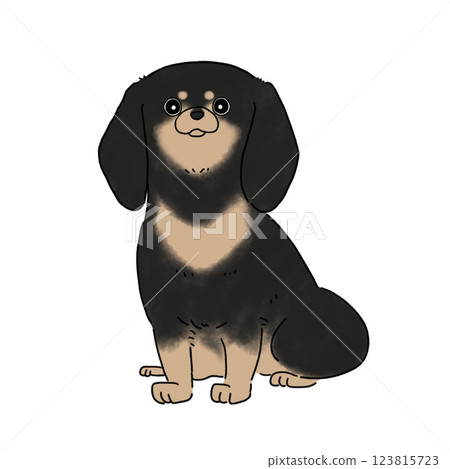 Miniature Dachshund Smooth (Black Yellow) 123815723