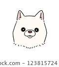 柴犬的臉（白色） 123815724