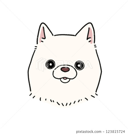 柴犬的臉（白色） 123815724