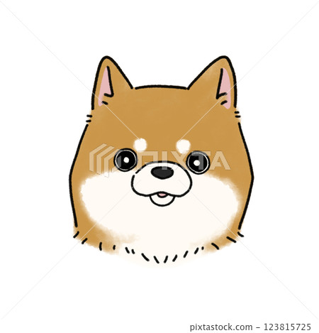 柴犬的臉（紅色） 123815725