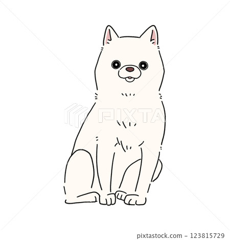 柴犬（白色） 123815729