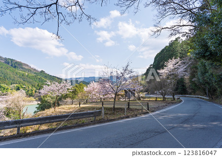 路標與道路：奧球磨縣立自然公園的市房水壩，櫻花季風景絕美（熊本縣球磨郡水上村湯山） 123816047