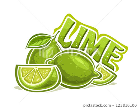 Vector logo for Lime 123816100