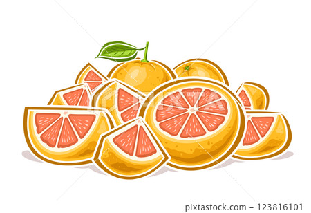 Vector Grapefruit Pile Vector Grapefruit Pile 123816101