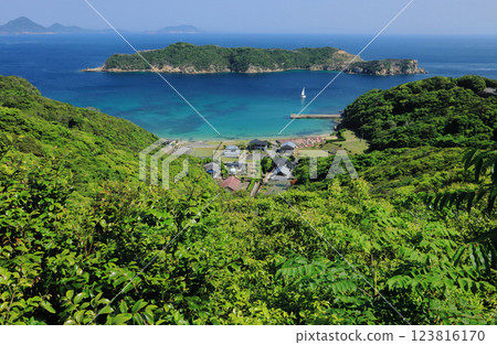 頭島村的新綠 123816170