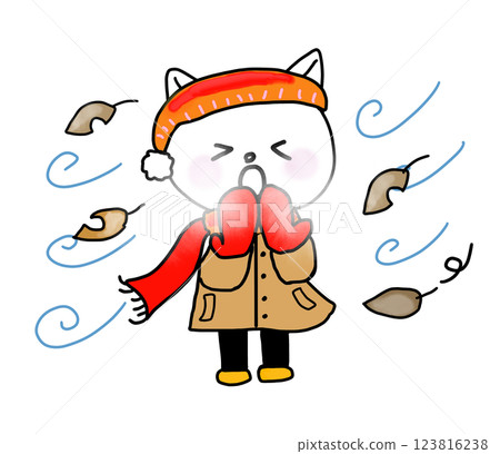 冬天刮風的日子裡，一隻白貓看起來很冷 123816238