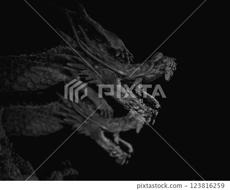 Profile of a dragon floating in the dark and a black background 123816259