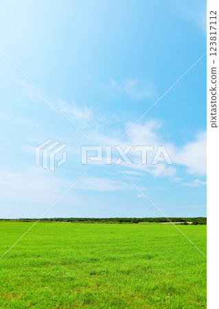 Hokkaido Summer blue sky and grassland scenery in eastern Hokkaido 123817112