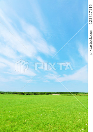 Hokkaido Summer blue sky and grassland scenery in eastern Hokkaido Hokkaido Summer blue sky and grassland scenery in eastern Hokkaido 123817116