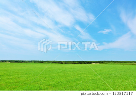 Hokkaido Summer blue sky and grassland scenery in eastern Hokkaido 123817117