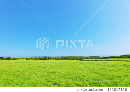 Hokkaido summer blue sky and fresh green plateau scenery Hokkaido summer blue sky and fresh green plateau scenery 123817136