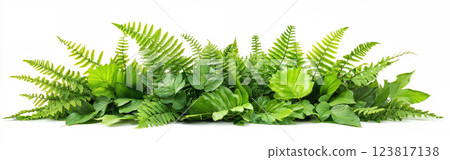 lush arrangement of mixed ornamental plants and ferns on white background. ai generative 123817138