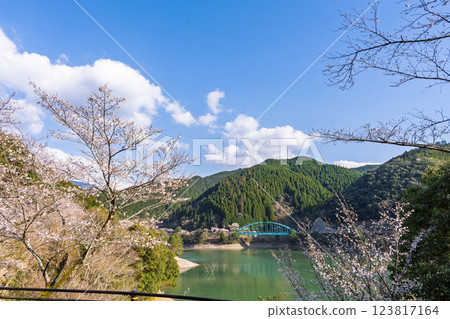 以春天的天空為背景的櫻花樹和水壩湖 「奧球磨縣立自然公園市房水壩的櫻花」（熊本縣球磨郡水上村湯山） 123817164