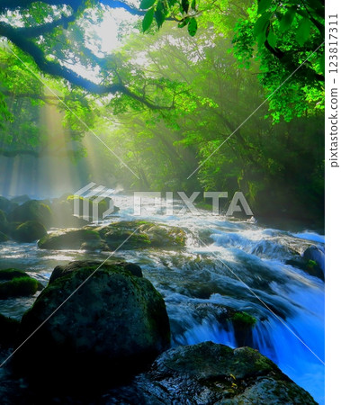 Beautiful rays of light emerge from Kikuchi Valley (Kikuchi City, vertical composition) 123817311