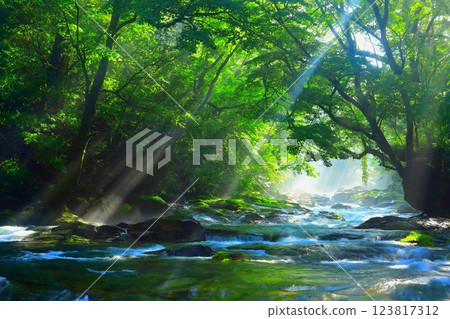Kikuchi Valley with beautiful rays of light (Kikuchi City) 123817312