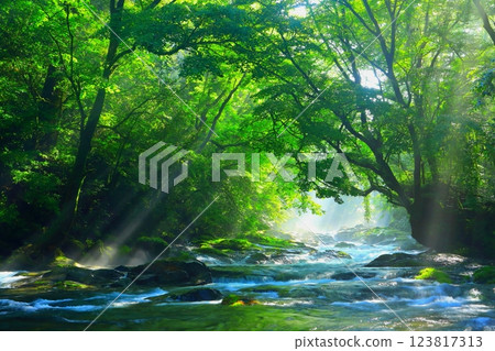 Kikuchi Valley with beautiful rays of light (Kikuchi City) 123817313