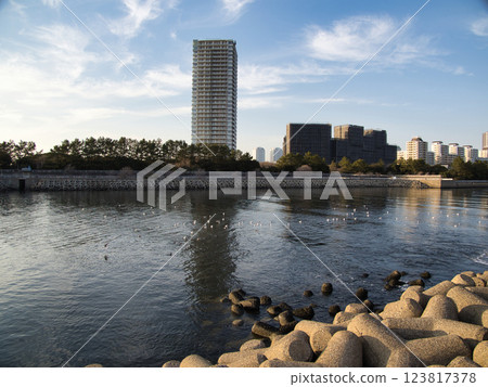 黑頭鷗棲息的海岸風光 黑頭鷗棲息的海岸風光 123817378