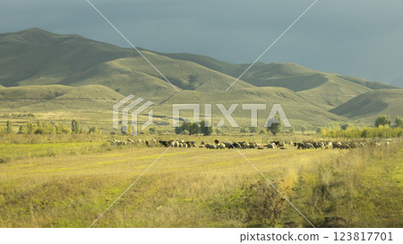 the wilderness and steppe landscape in Issyk-Kul lake Region, a Jeti-Oguz and Tong district, Kyrgyzstan in Central Asia 123817701