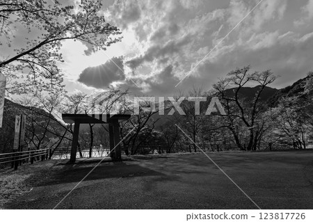 單色：櫻花季閃耀的奧球磨縣立自然公園市房水壩景色（熊本縣球磨郡水上村湯山） 123817726