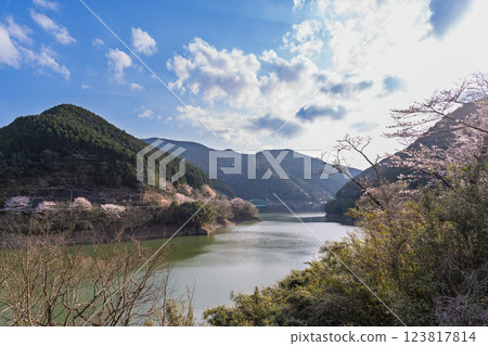 The Ichifusa Dam in Oku-Kuma Prefectural Natural Park, a beautiful sight in the cherry blossom season (Yuyama, Minakami Village, Kuma District, Kumamoto Prefecture) 123817814