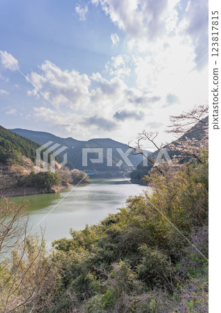 奧球磨縣立自然公園的市房水壩，櫻花季風景優美（熊本縣球磨郡水上村湯山） 123817815