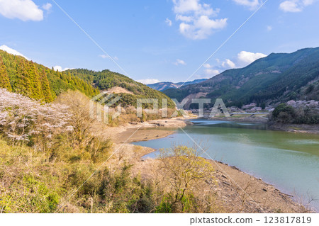 The Ichifusa Dam in Oku-Kuma Prefectural Natural Park, a beautiful sight in the cherry blossom season (Yuyama, Minakami Village, Kuma District, Kumamoto Prefecture) The Ichifusa Dam in Oku-Kuma Prefectural Natural Park, a beautiful sight in the cherry blossom season (Yuyama, Minakami Village, Kuma District, Kumamoto Prefecture) 123817819