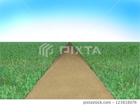 A picture of a road in the fields and blue sky A picture of a road in the fields and blue sky 123818076